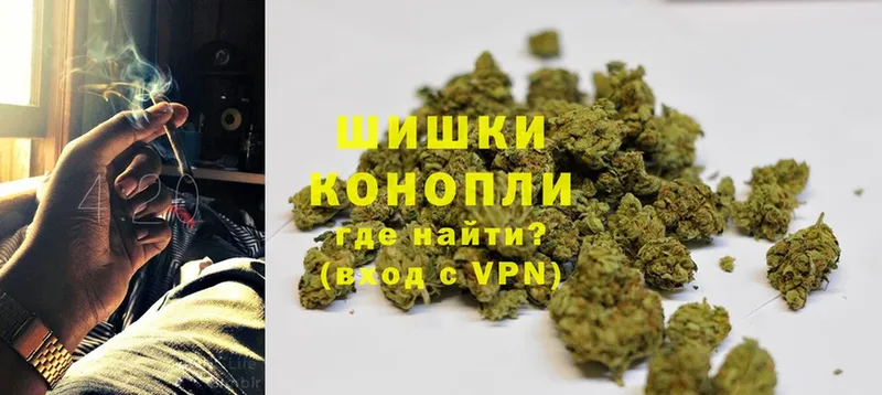 купить наркоту  Цоци-Юрт  Бошки Шишки THC 21% 